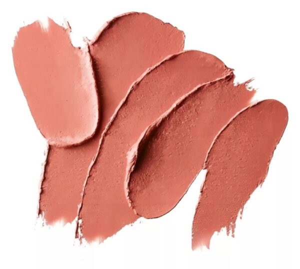 LABIAL MAC MATTE TONO 649 DOWN TO AN ART - Imagen 2